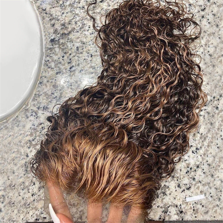 Highlighted Curly Lace Front Human Hair Wig - Brown & Blonde Balayage Curls